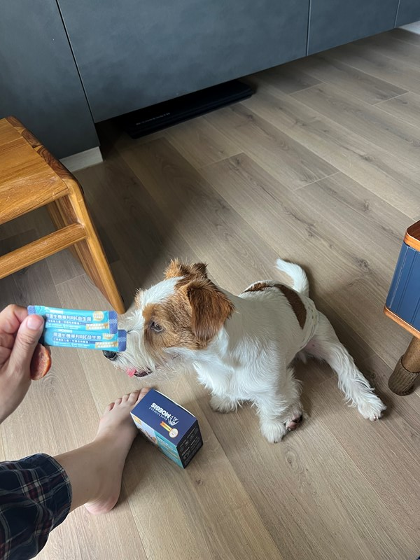 女人知己試用大隊,口碑行銷,部落客行銷,Moegis萌吉 腸道生機專利RBE益生菌,寵物益生菌,專利RBE益生元,專利蔬果酵素,小分子胜肽,藍藻粉,維持免疫力,幫助維持消化道機能,維持正常食慾,改變細菌叢生態,腸胃保健,犬貓適用